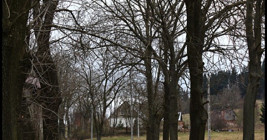 Testy Chmielewskiego i Ptaszka